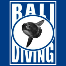 Bali Diving